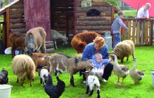 kinderboerderij
